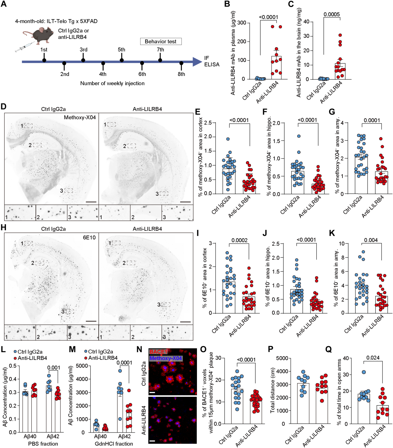 Pathological study of anti-human LILRB4 antibody in a mouse model of Alzheimer's disease